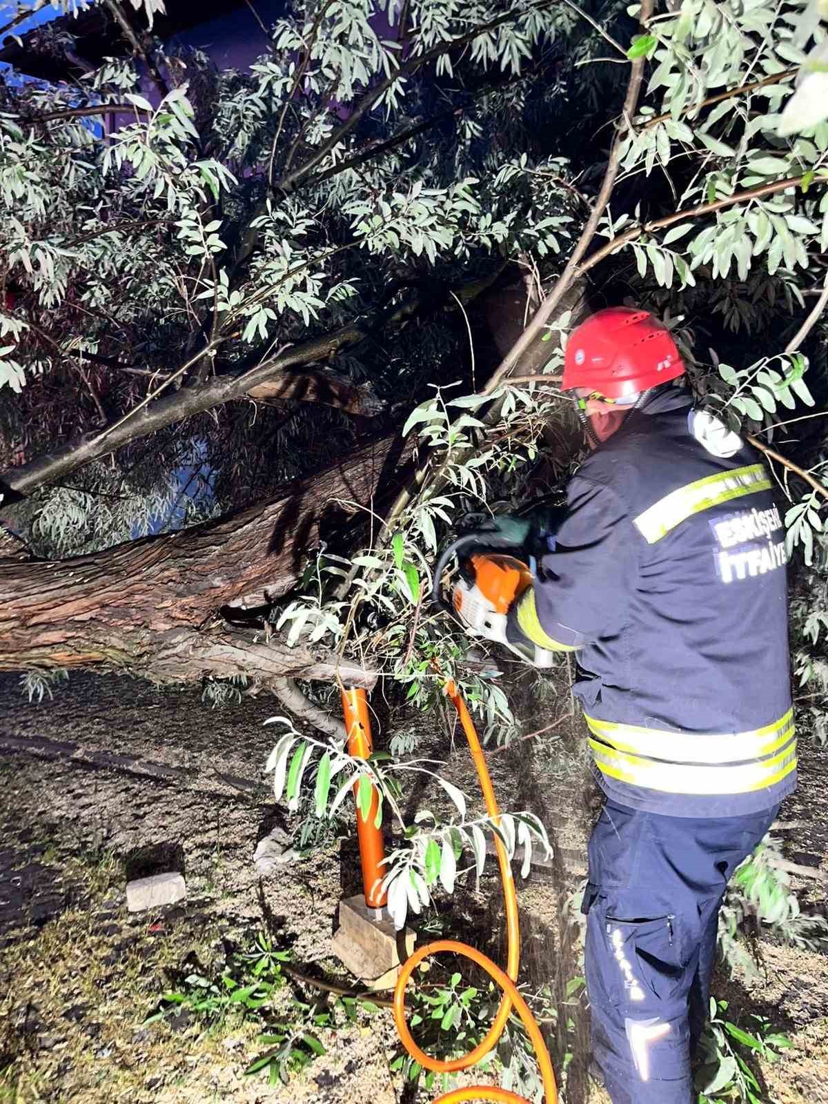 Araç üzerine düşen ağaç itfaiye ekiplerinin titiz çalışmasıyla kaldırıldı