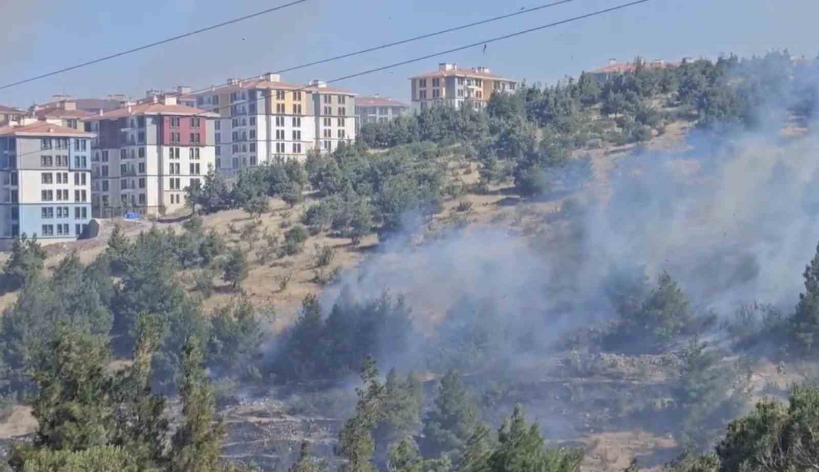 Balıkesir’de otluk ve koruluk alanda yangın