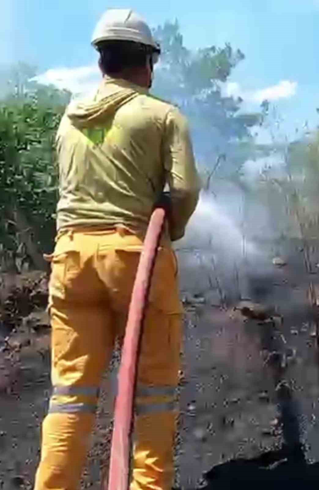 Antalya’da 5 farklı noktada çıkan yangınlar kontrol altına alındı