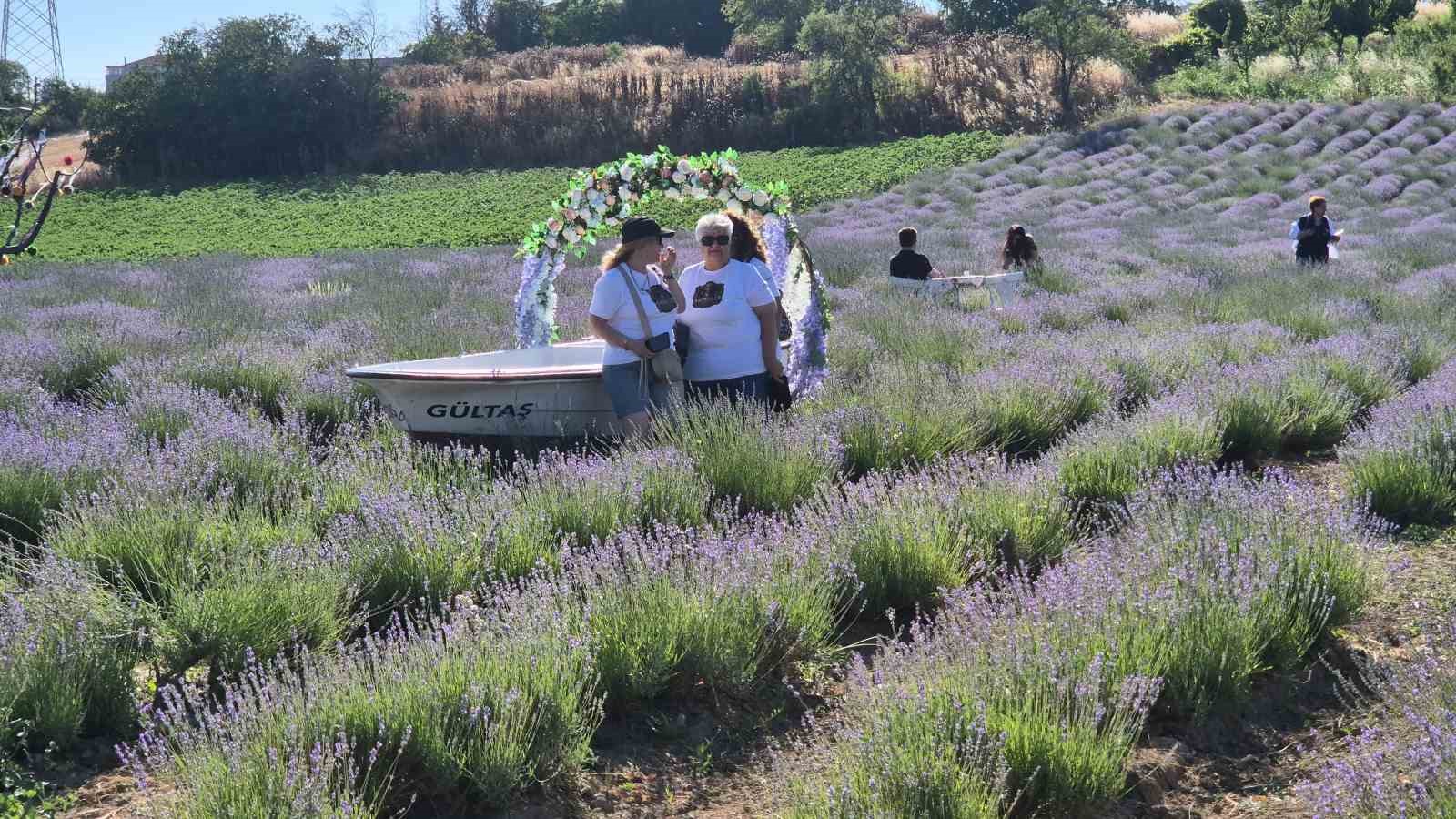 Tekirdağ’da Lavanta Şenliği başladı