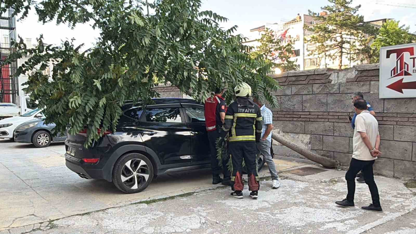 Kökü duvarın altında olan ağaç aracın üzerine devrildi