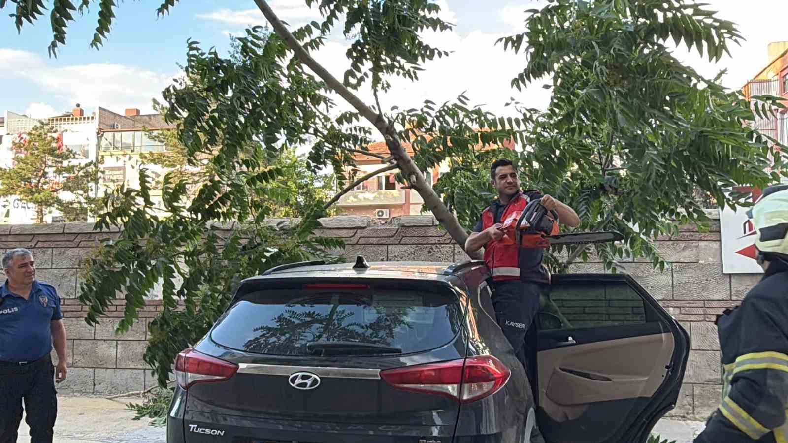 Kökü duvarın altında olan ağaç aracın üzerine devrildi