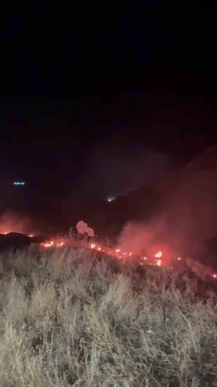 Mersin’de çöp sahasında çıkan yangın ormanlık alana sıçradı