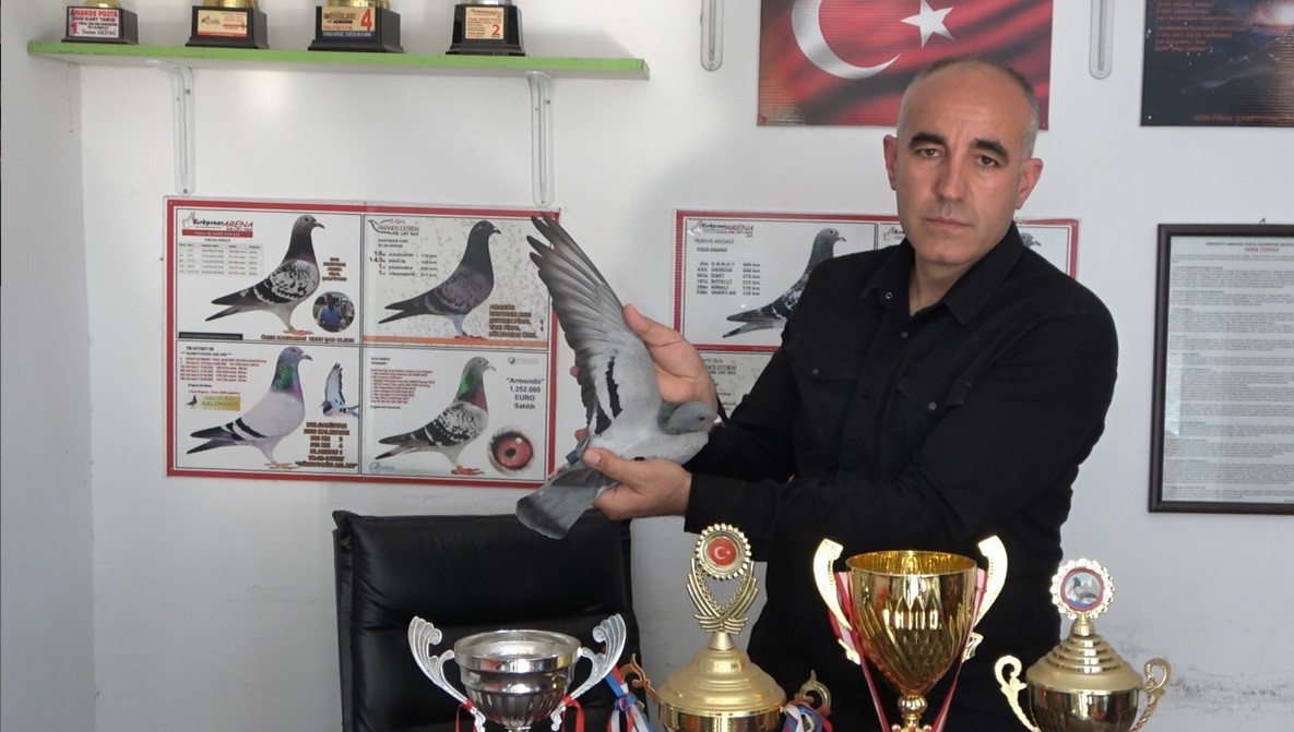 Ermenistan sınırından bırakılan güvercin bin kilometre yolu bir günde katederek evine döndü