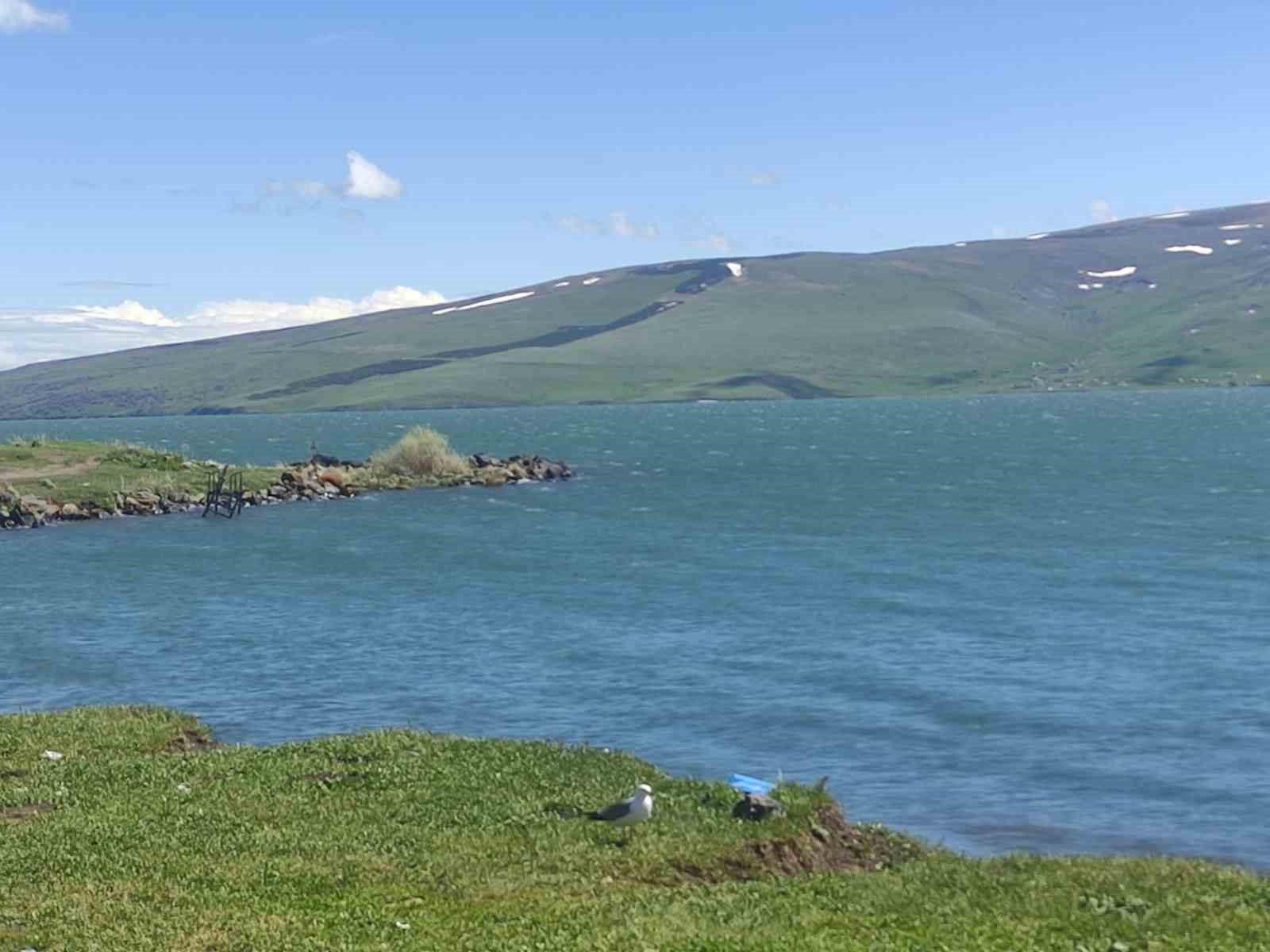 Çıldır Gölü’nün su seviyesi yükseldi