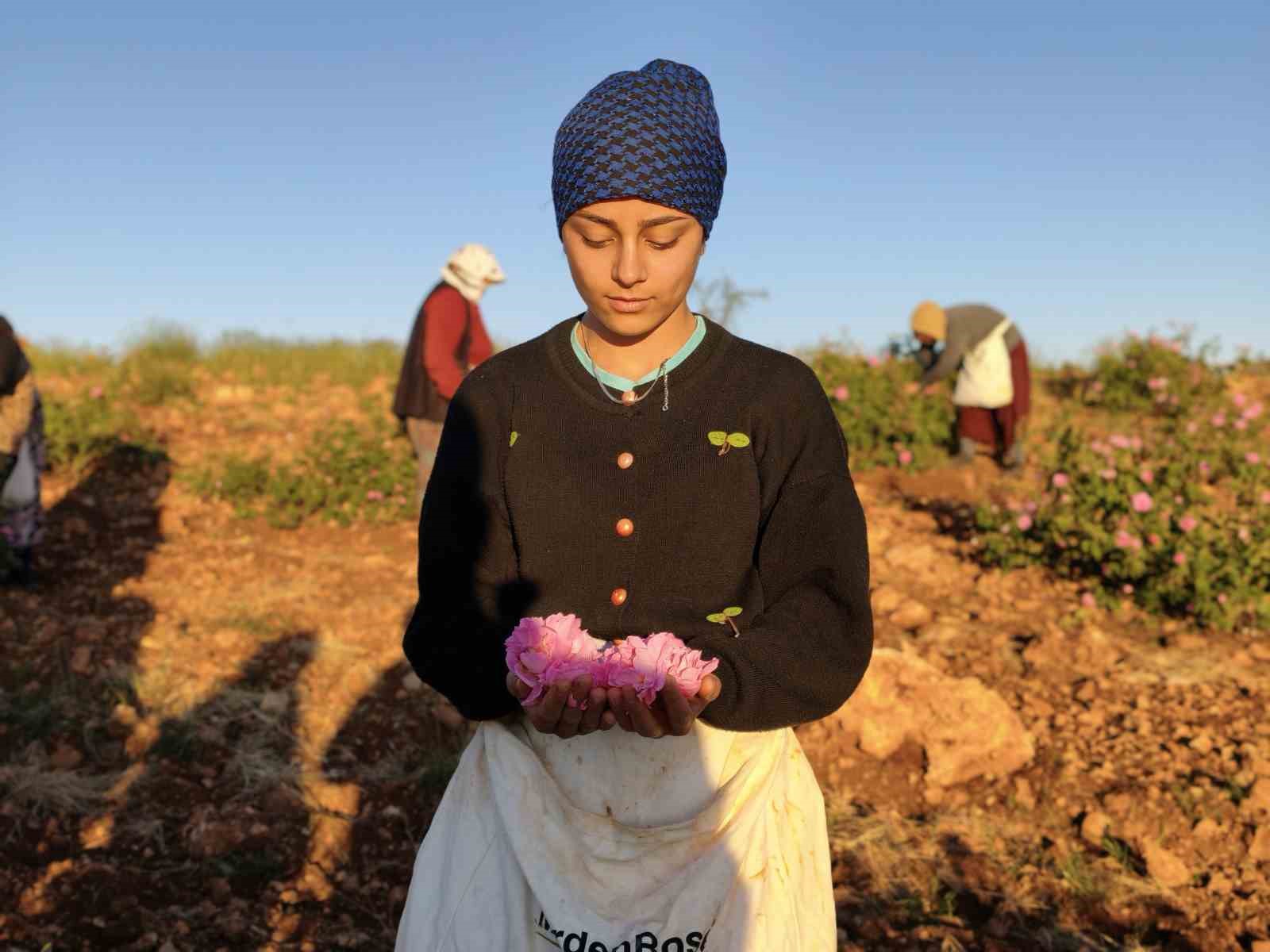 Mardin’de kurduğu gül bahçesiyle bölge kadınlarına istihdam sağladı
