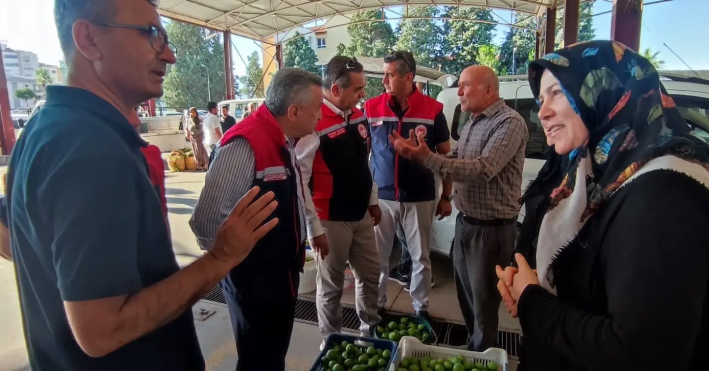 Aydın inciri için denetimler sürüyor
