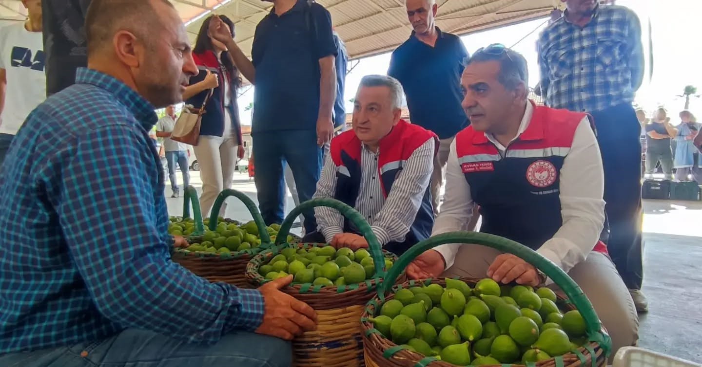 Aydın inciri için denetimler sürüyor
