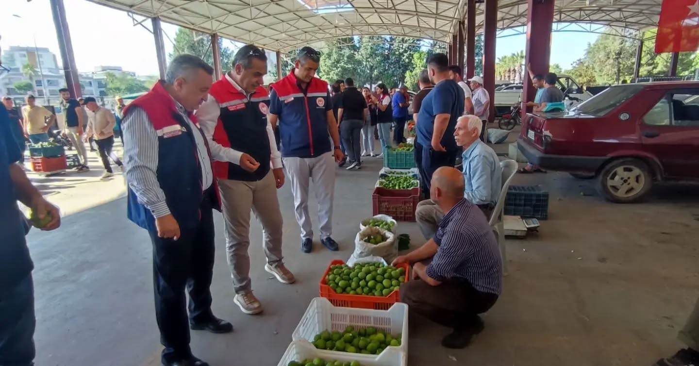 Aydın inciri için denetimler sürüyor