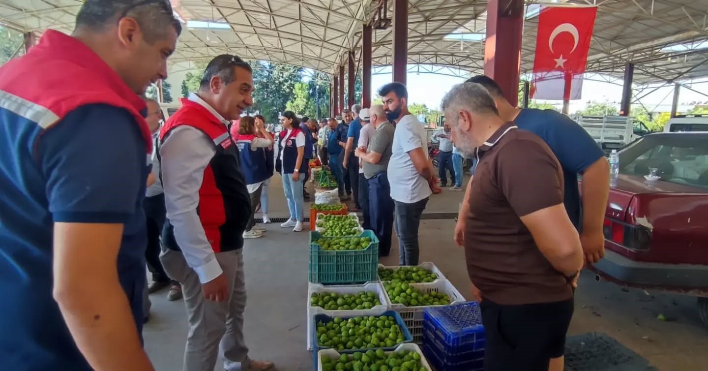 Aydın inciri için denetimler sürüyor