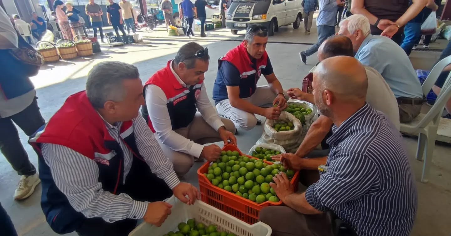Aydın inciri için denetimler sürüyor