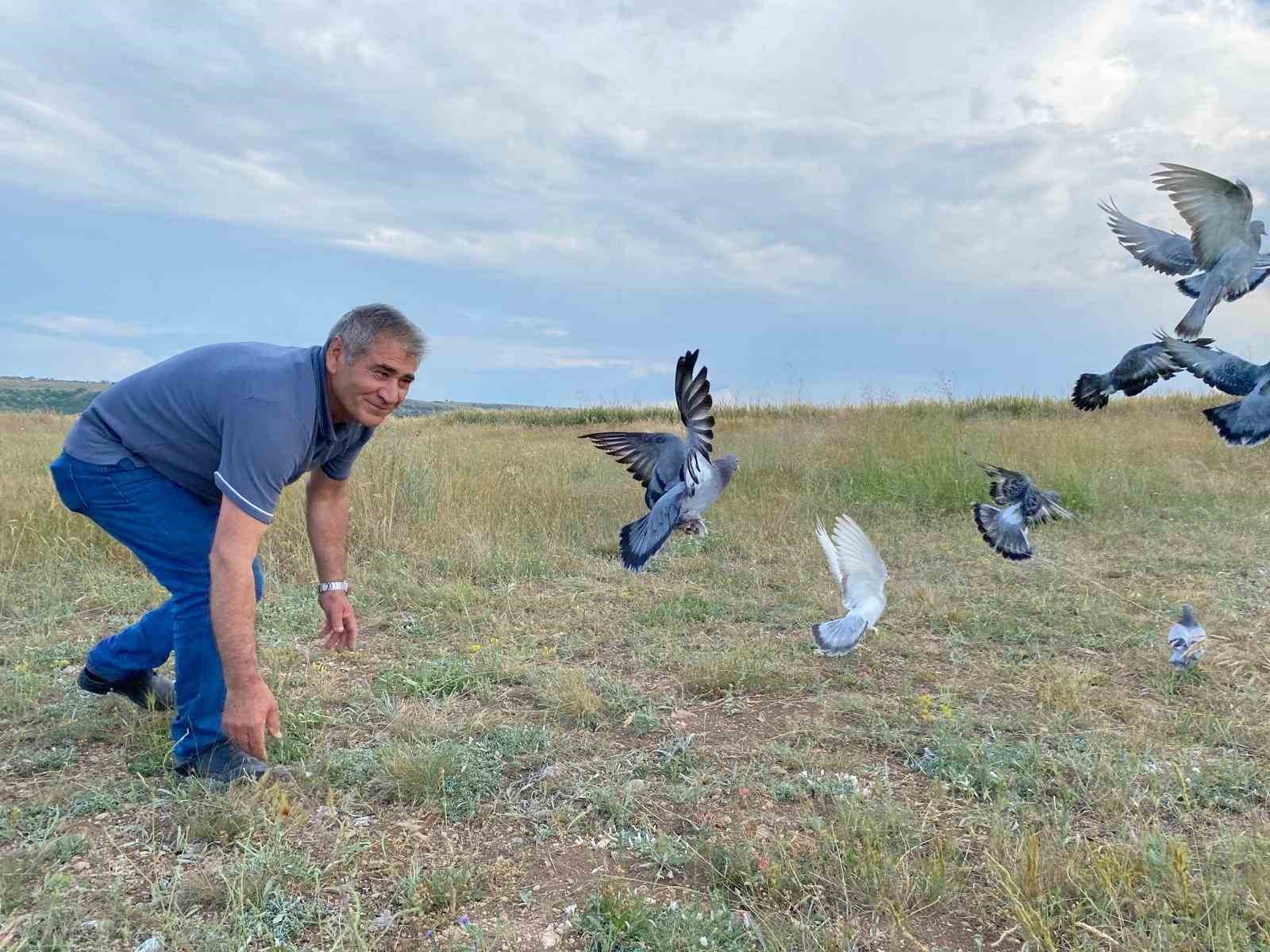 43 yıldır süren güvercin tutkusu