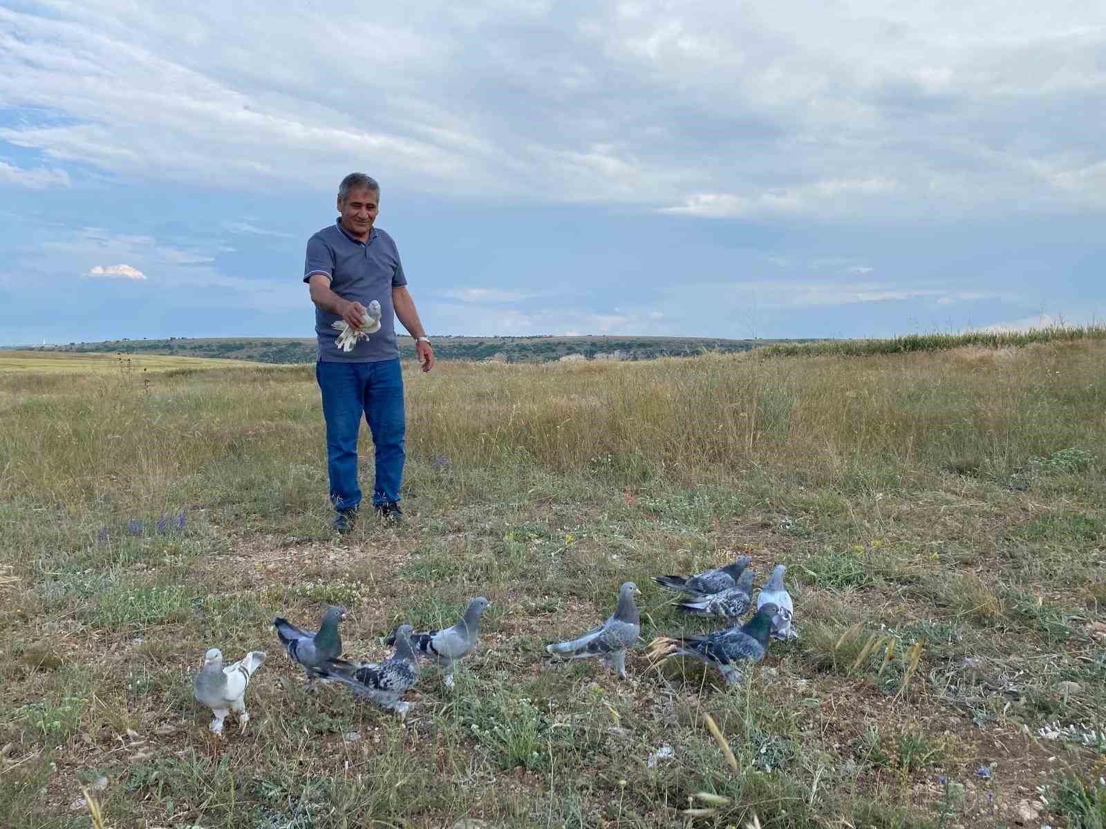 43 yıldır süren güvercin tutkusu