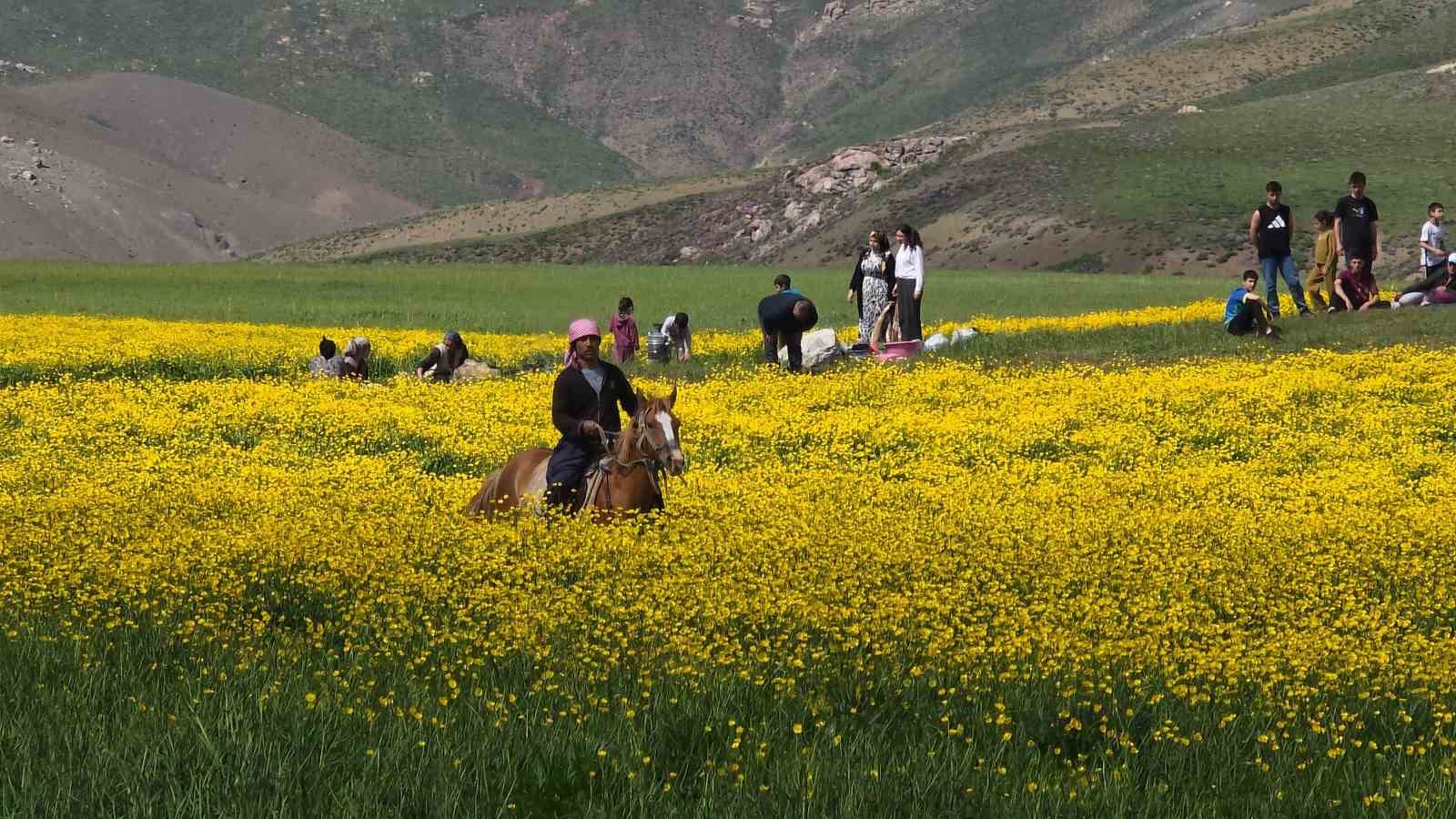 Doğa için deklanşöre bastılar: Dostlar Fotoğraf Grubu Van’ın sulak alanlarını fotoğrafladı