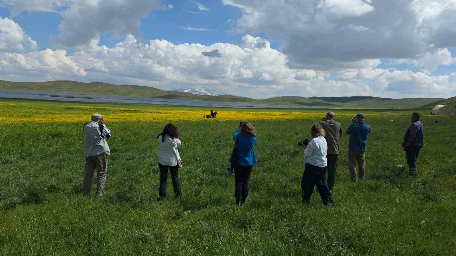 Doğa için deklanşöre bastılar: Dostlar Fotoğraf Grubu Van’ın sulak alanlarını fotoğrafladı