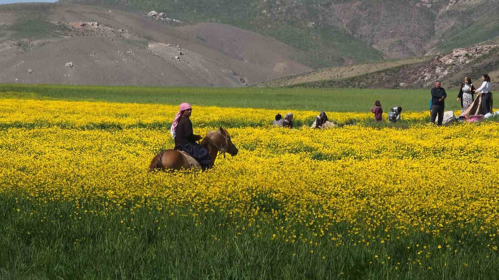 Doğa için deklanşöre bastılar: Dostlar Fotoğraf Grubu Van’ın sulak alanlarını fotoğrafladı