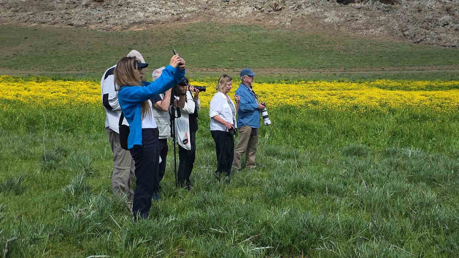 Doğa için deklanşöre bastılar: Dostlar Fotoğraf Grubu Van’ın sulak alanlarını fotoğrafladı
