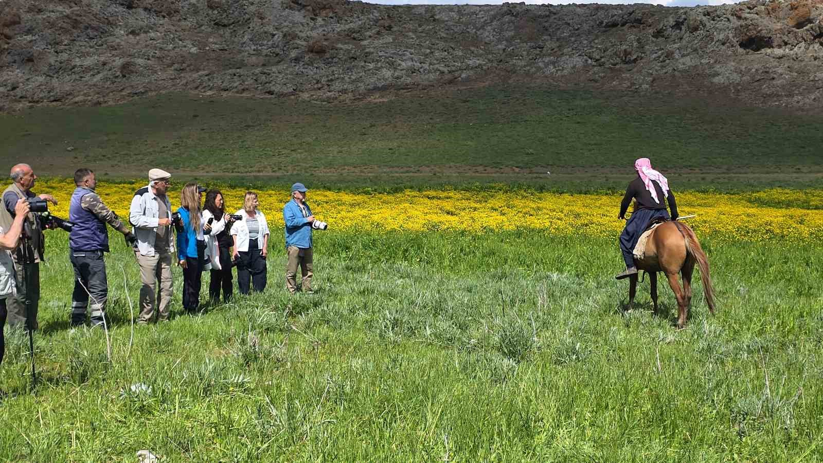 Doğa için deklanşöre bastılar: Dostlar Fotoğraf Grubu Van’ın sulak alanlarını fotoğrafladı