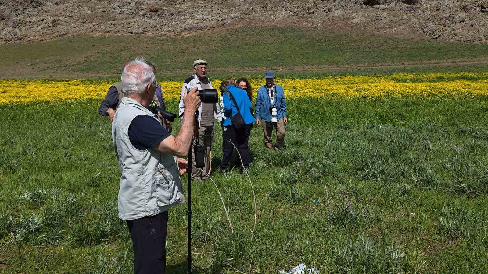 Doğa için deklanşöre bastılar: Dostlar Fotoğraf Grubu Van’ın sulak alanlarını fotoğrafladı