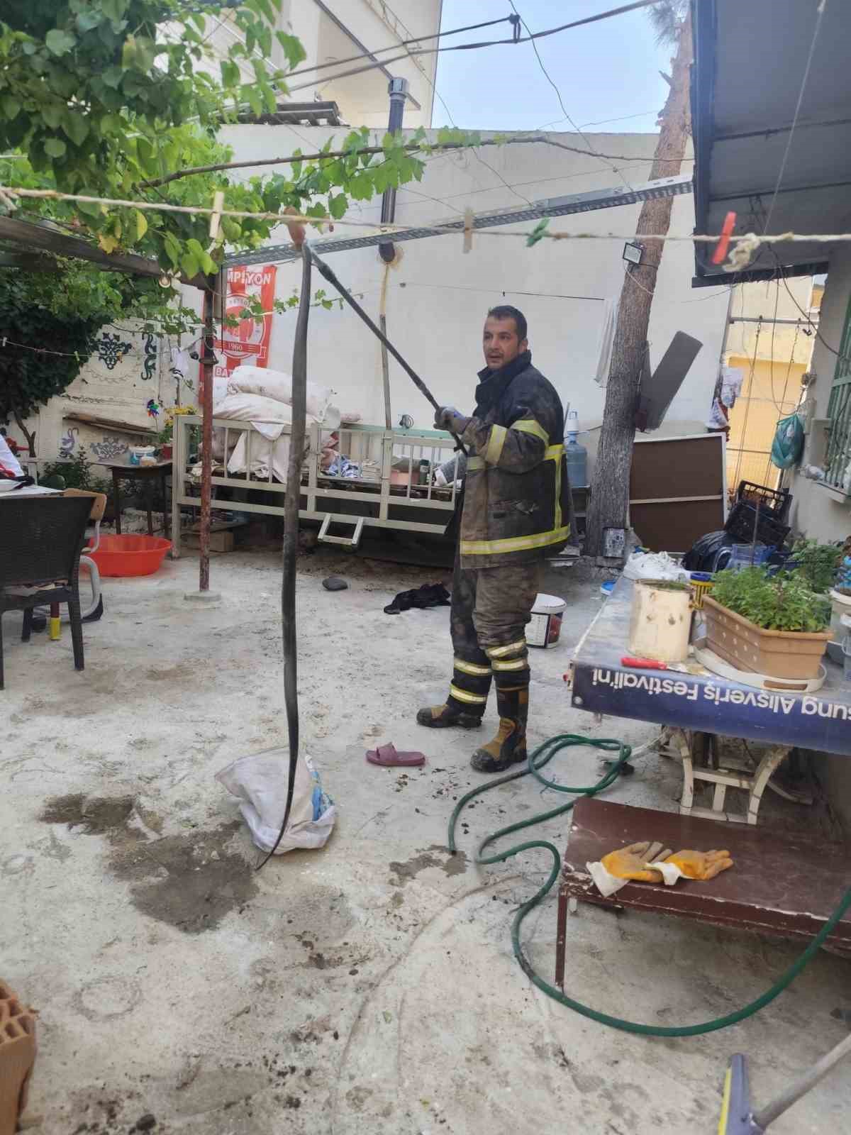 Batman’da evin bahçesine giren yılan paniğe neden oldu