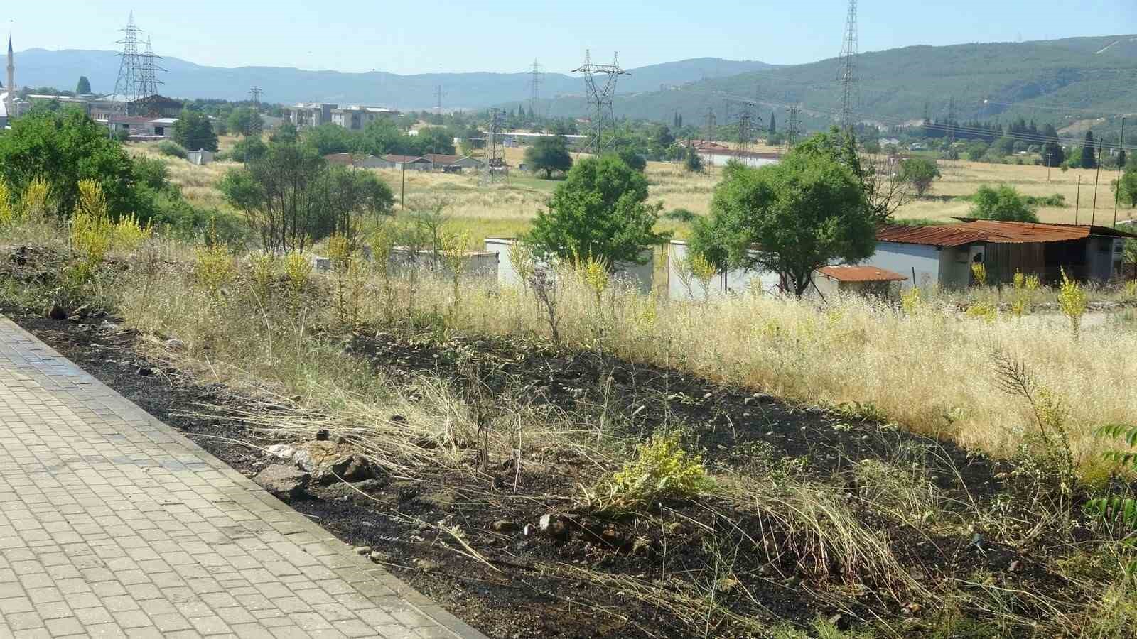 Menteşe’de  yol kenarına atılan sigara izmariti yangın çıkardı