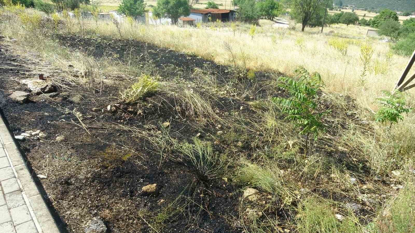 Menteşe’de  yol kenarına atılan sigara izmariti yangın çıkardı