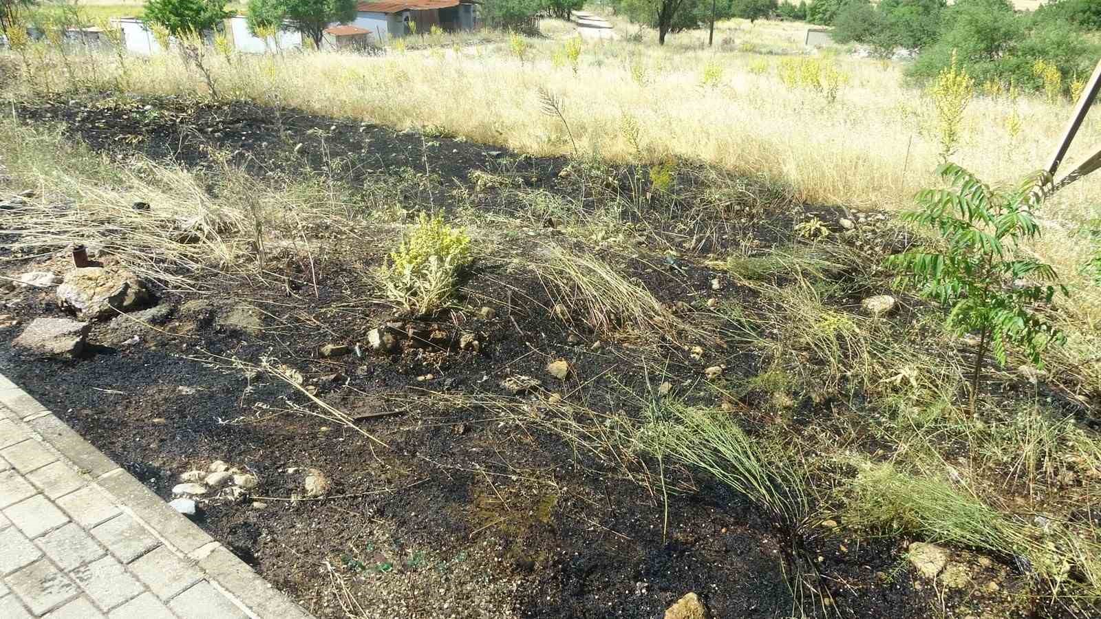 Menteşe’de  yol kenarına atılan sigara izmariti yangın çıkardı