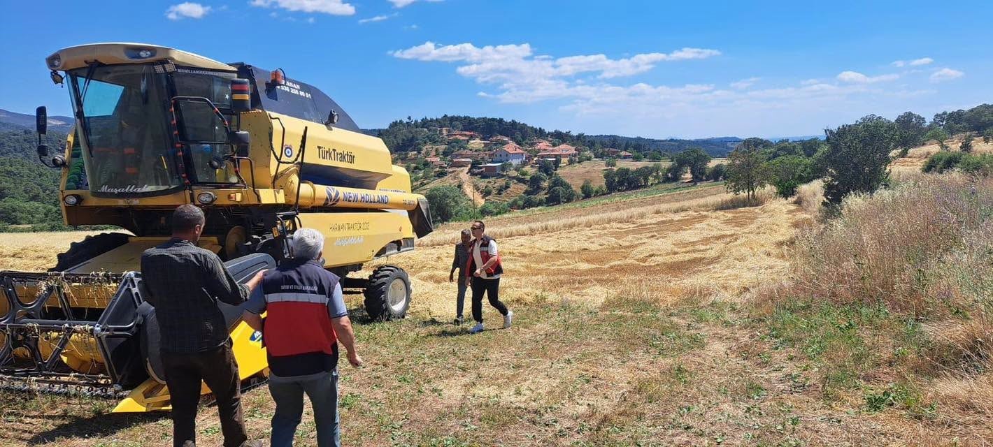 Gediz’de biçerdöverle hasat kontrolü