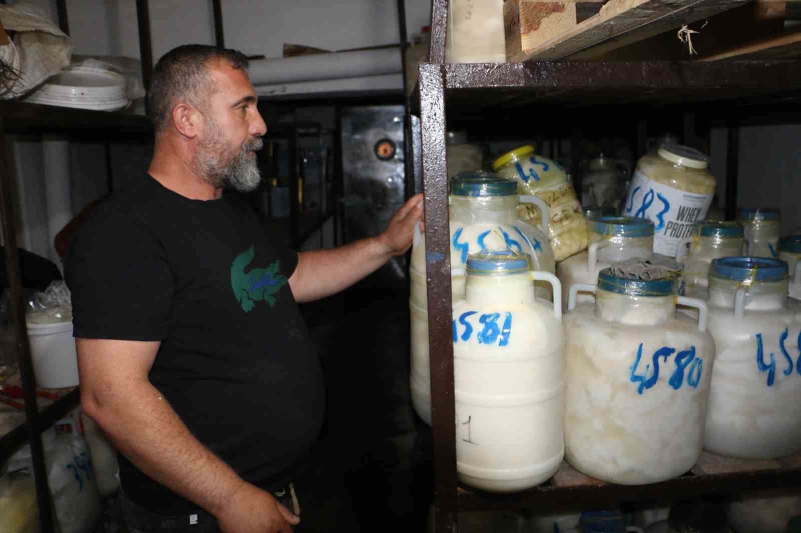 Diyarbakır’da kışlık peynir mesaisi başladı