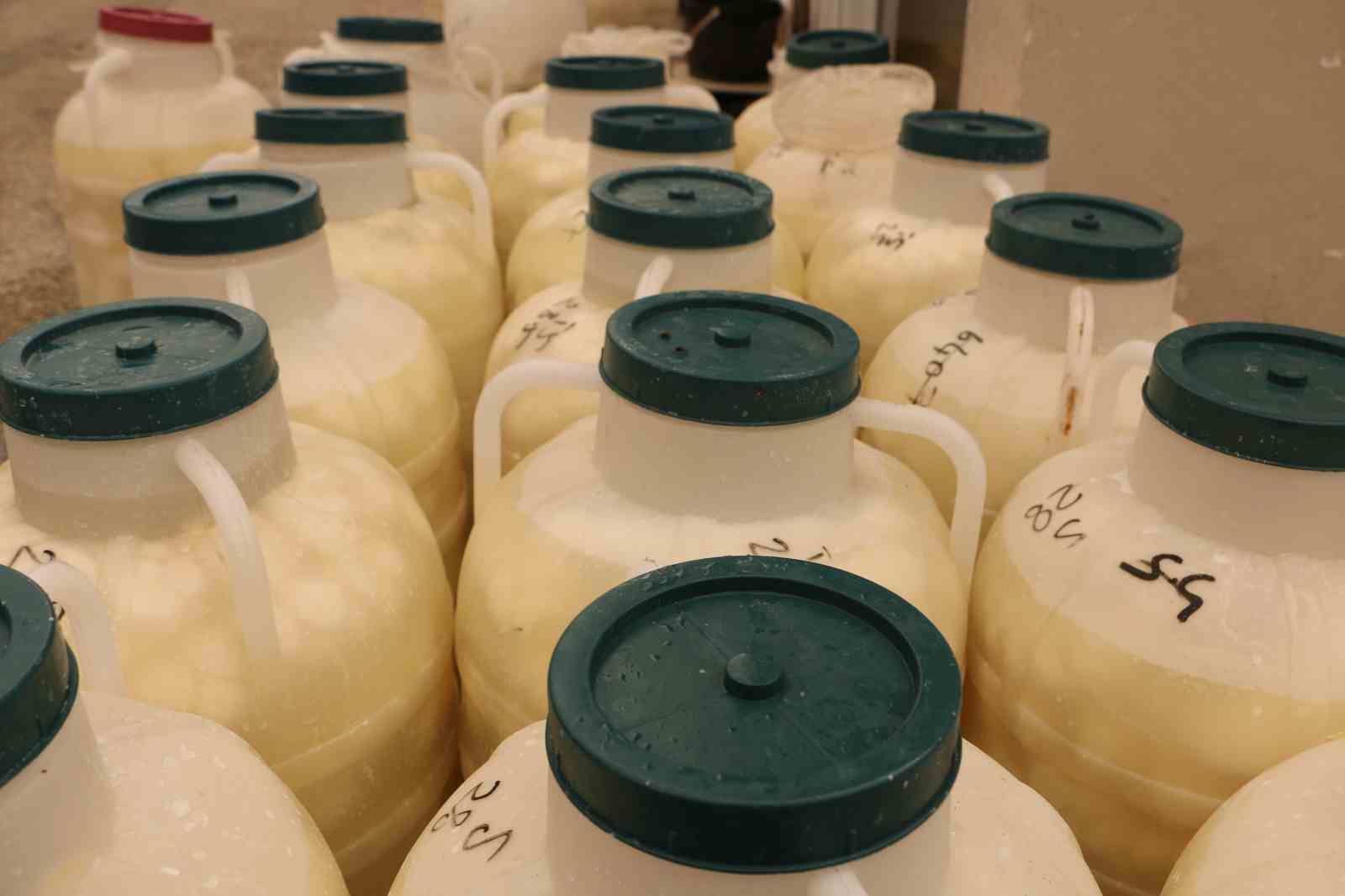 Diyarbakır’da kışlık peynir mesaisi başladı
