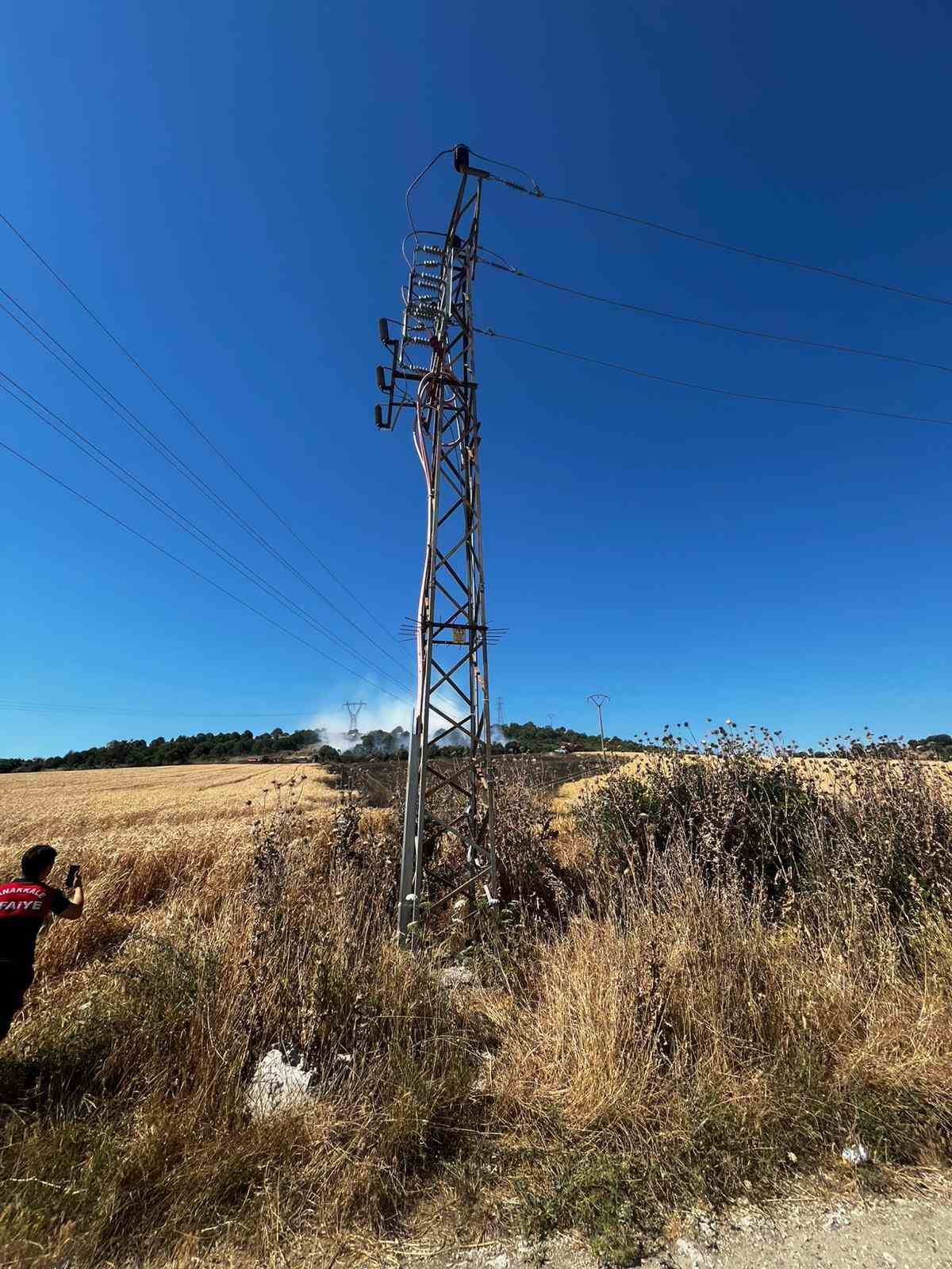 Elektrik tellerine çarpan karga yangına sebep oldu
