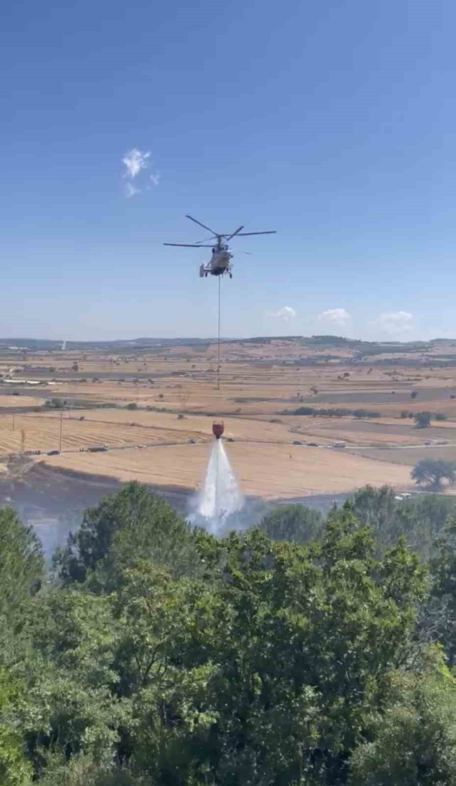 Elektrik tellerine çarpan karga yangına sebep oldu