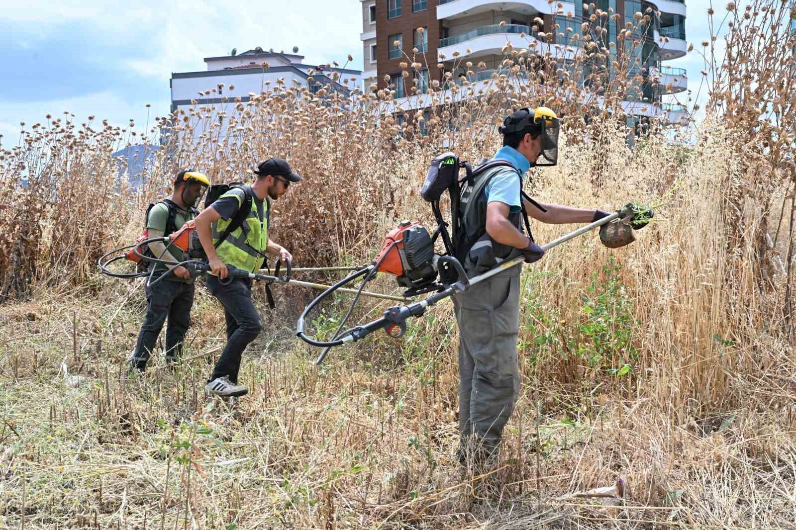 Manisa’da yangın riskine karşı yabani otlar temizleniyor