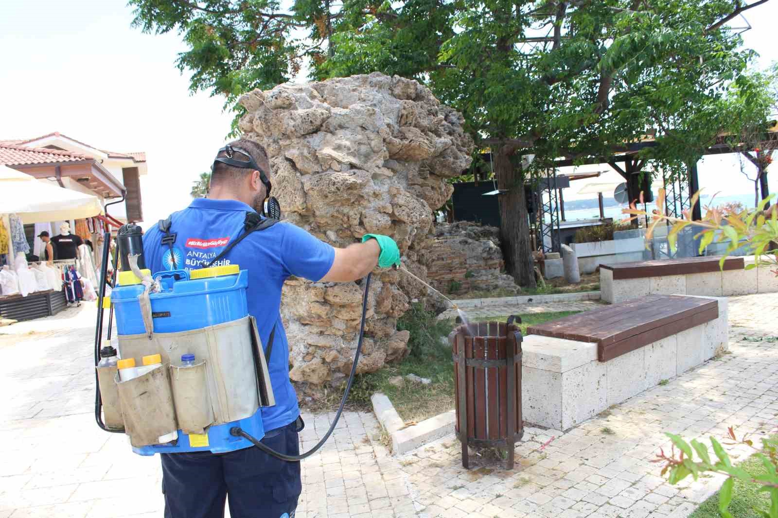 Antalya’da vektörle mücadele 19 ilçede sürdürülüyor