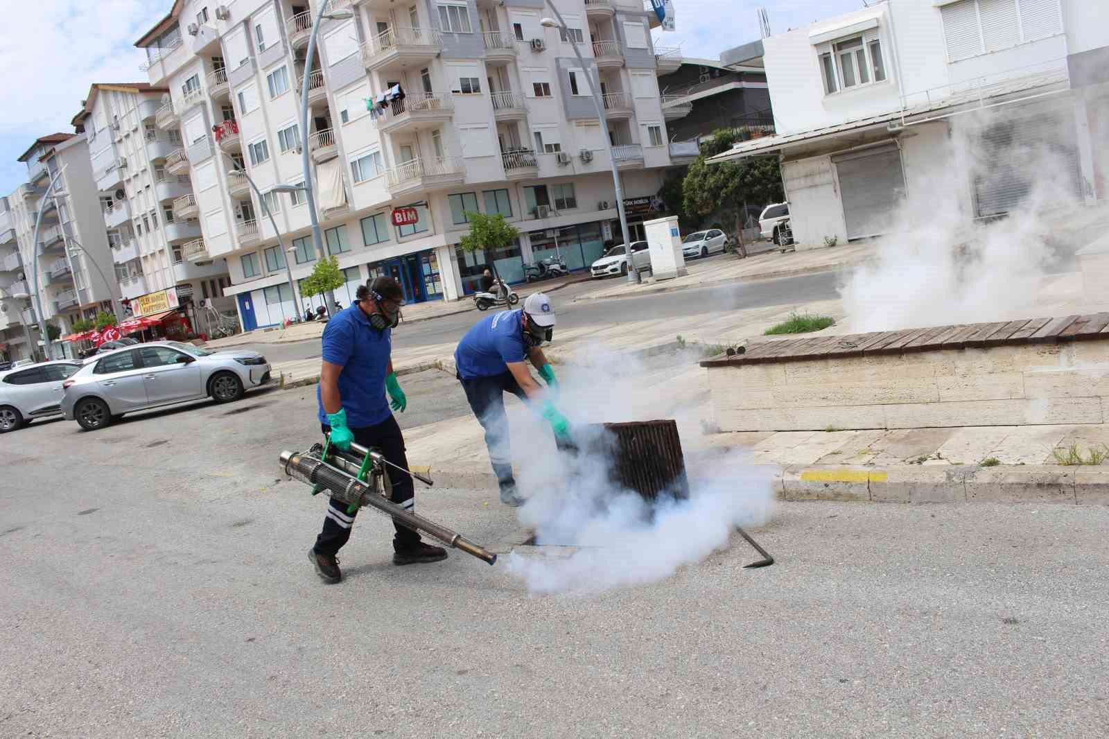 Antalya’da vektörle mücadele 19 ilçede sürdürülüyor