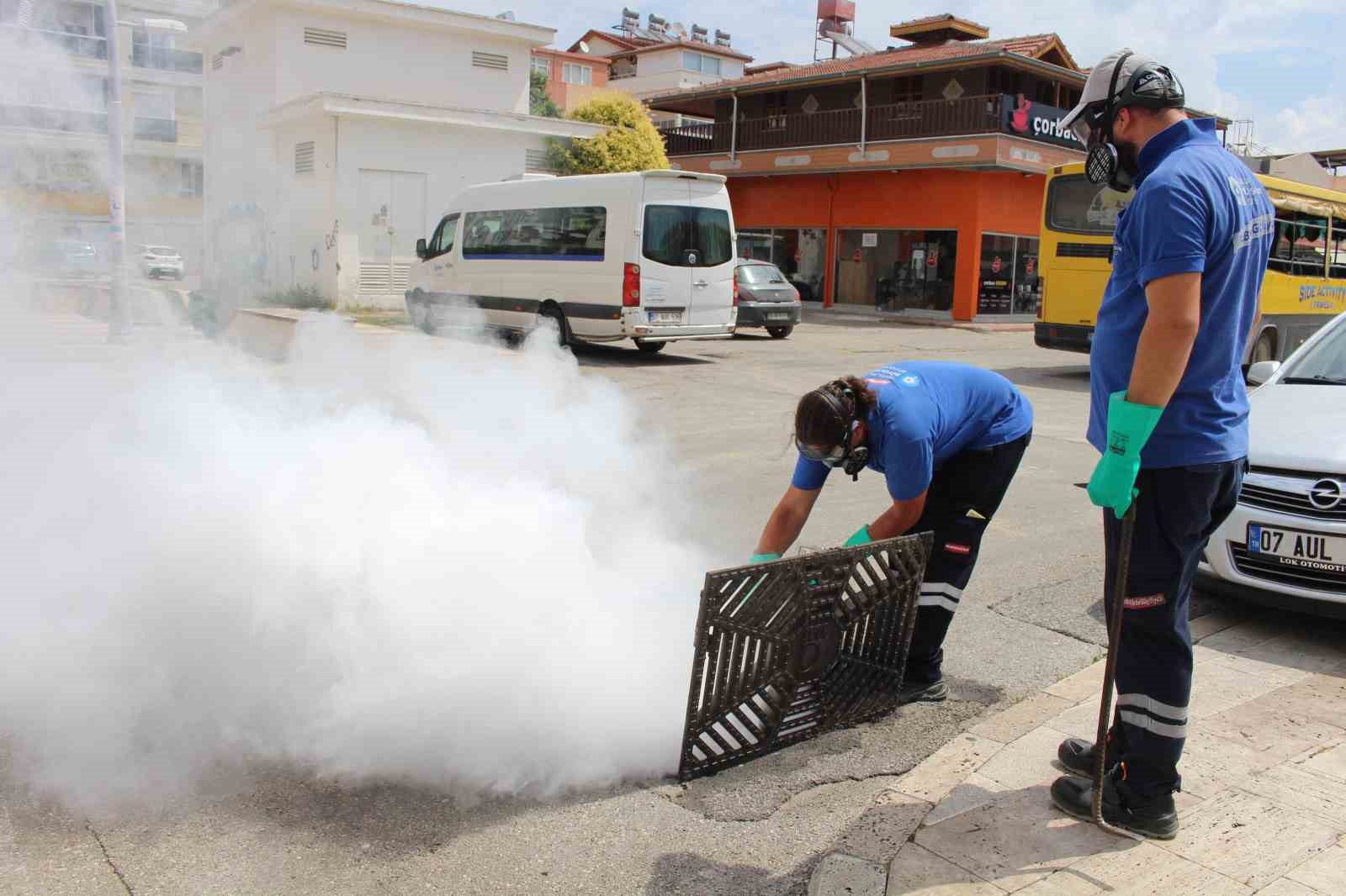 Antalya’da vektörle mücadele 19 ilçede sürdürülüyor