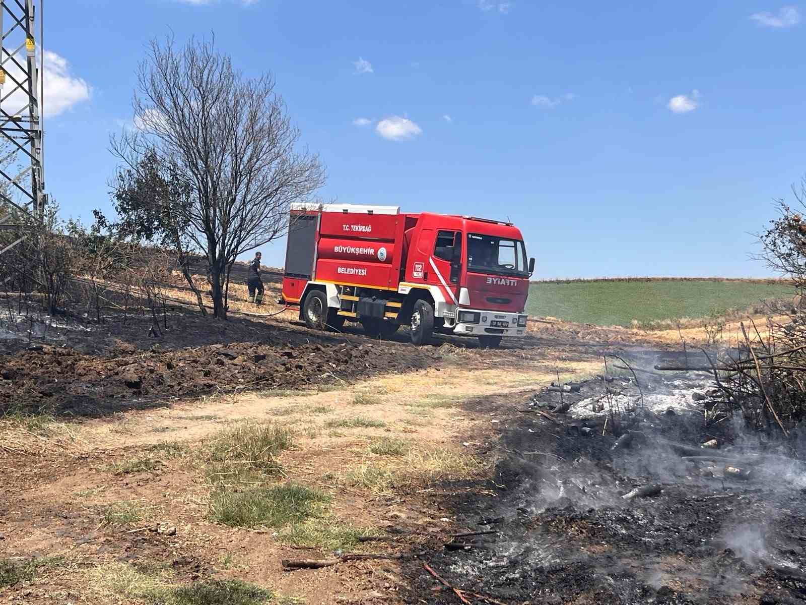 Tekirdağ’da 25 dönüm buğday ekili alan yandı