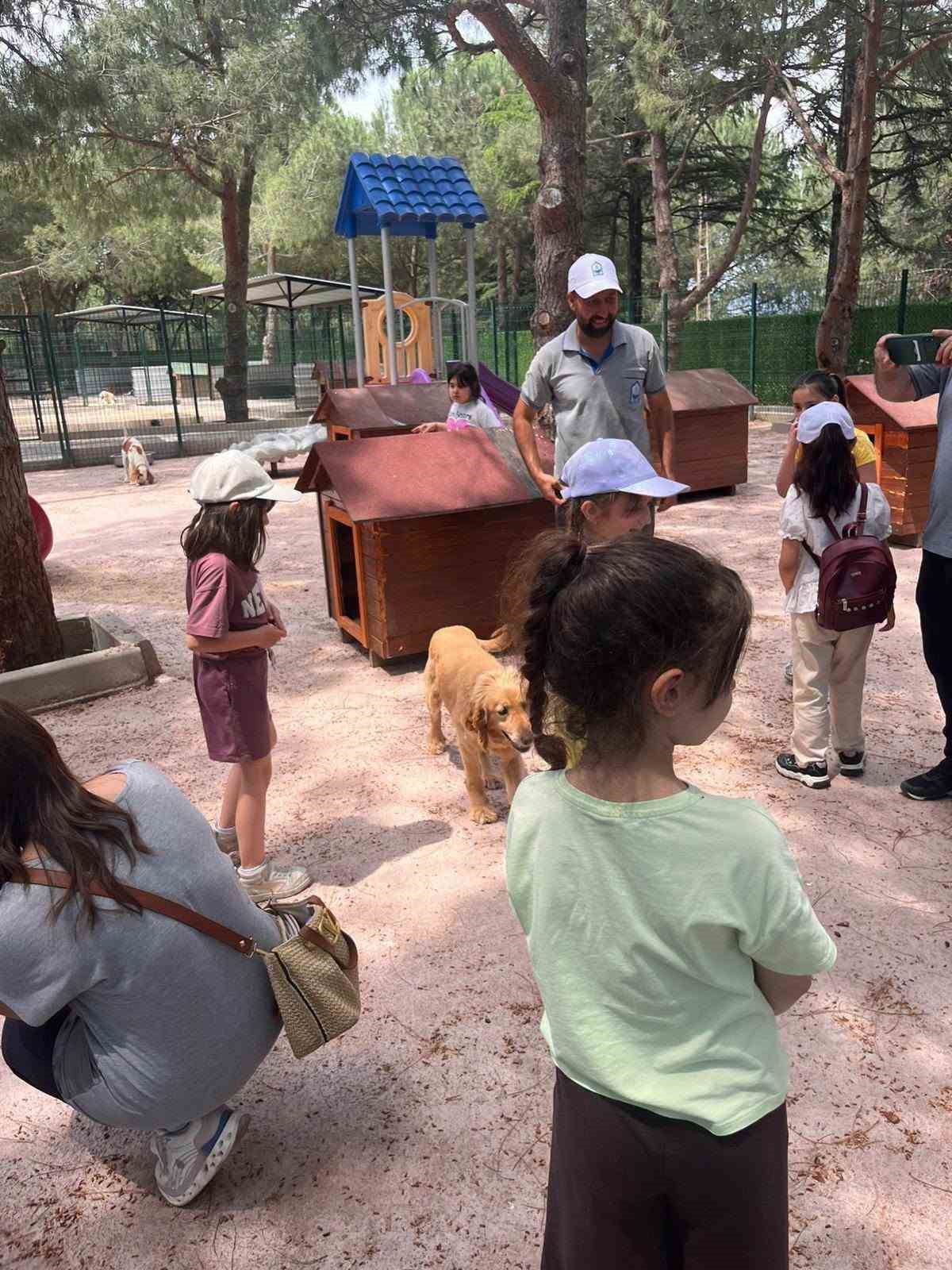 Sahipsiz sokak hayvanları tedavi merkezi ve doğal yaşam alanı, öğrencileri ağırladı