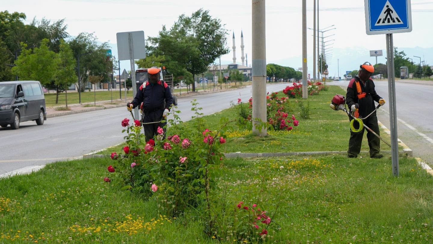 Erzincan’da yeşil alanlarda bakım çalışmaları sürüyor