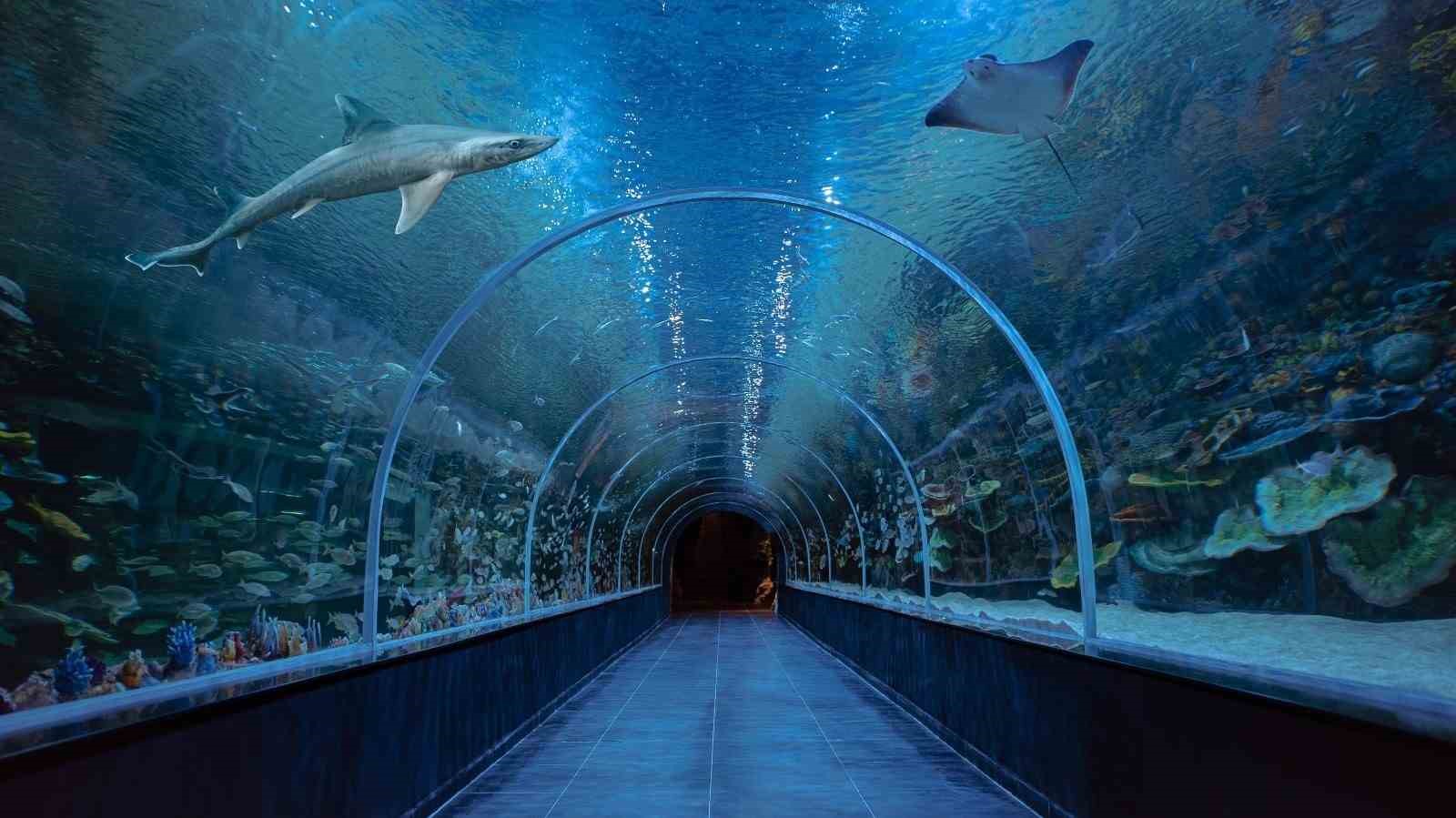 Körfez Aqua Akvaryumu’nda 41 bininci ziyaretçi sürprizi