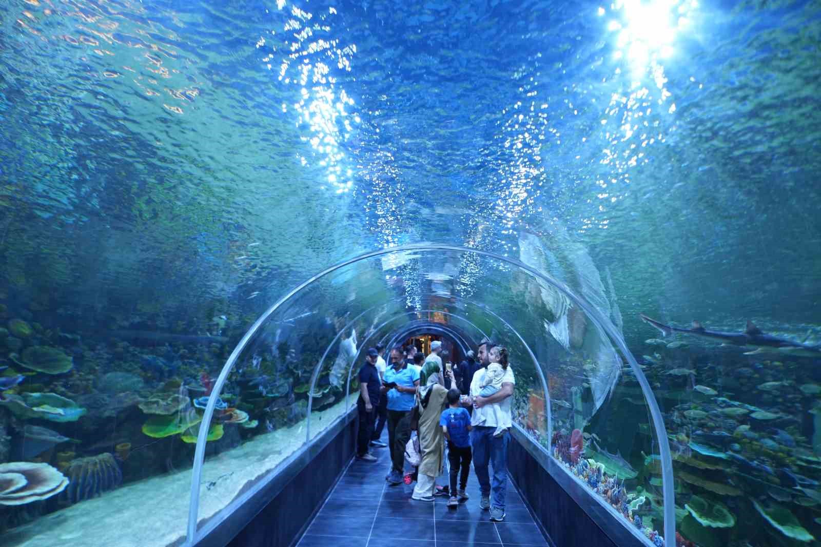 Körfez Aqua Akvaryumu’nda 41 bininci ziyaretçi sürprizi
