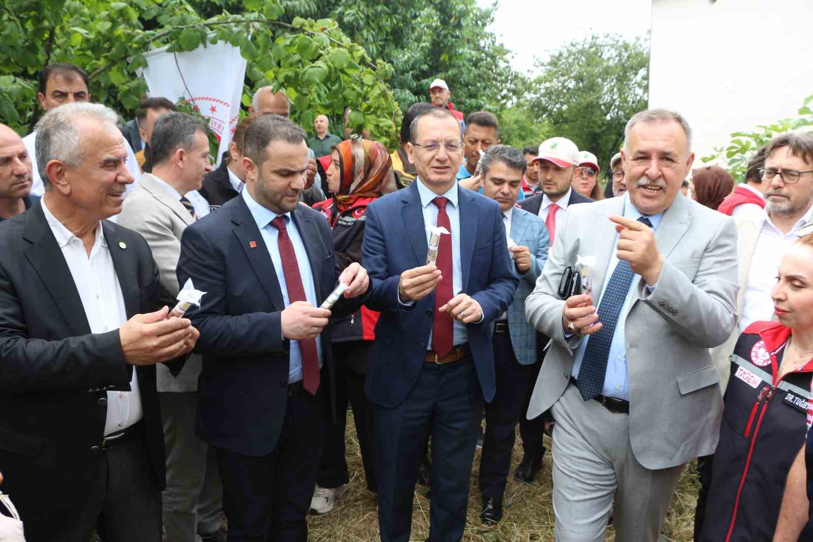 Trabzon’da kahverengi kokarcaya karşı doğal ordu göreve başladı