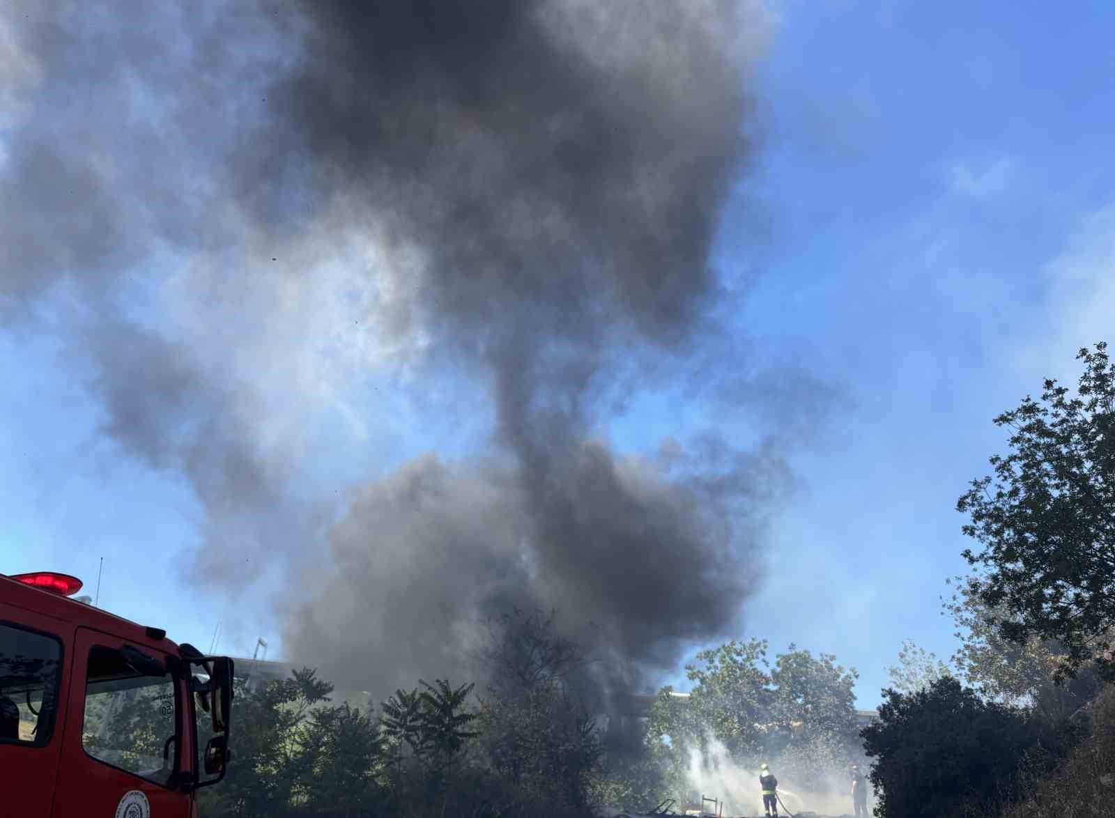 İzmit’te ağaçlık alanda yangın