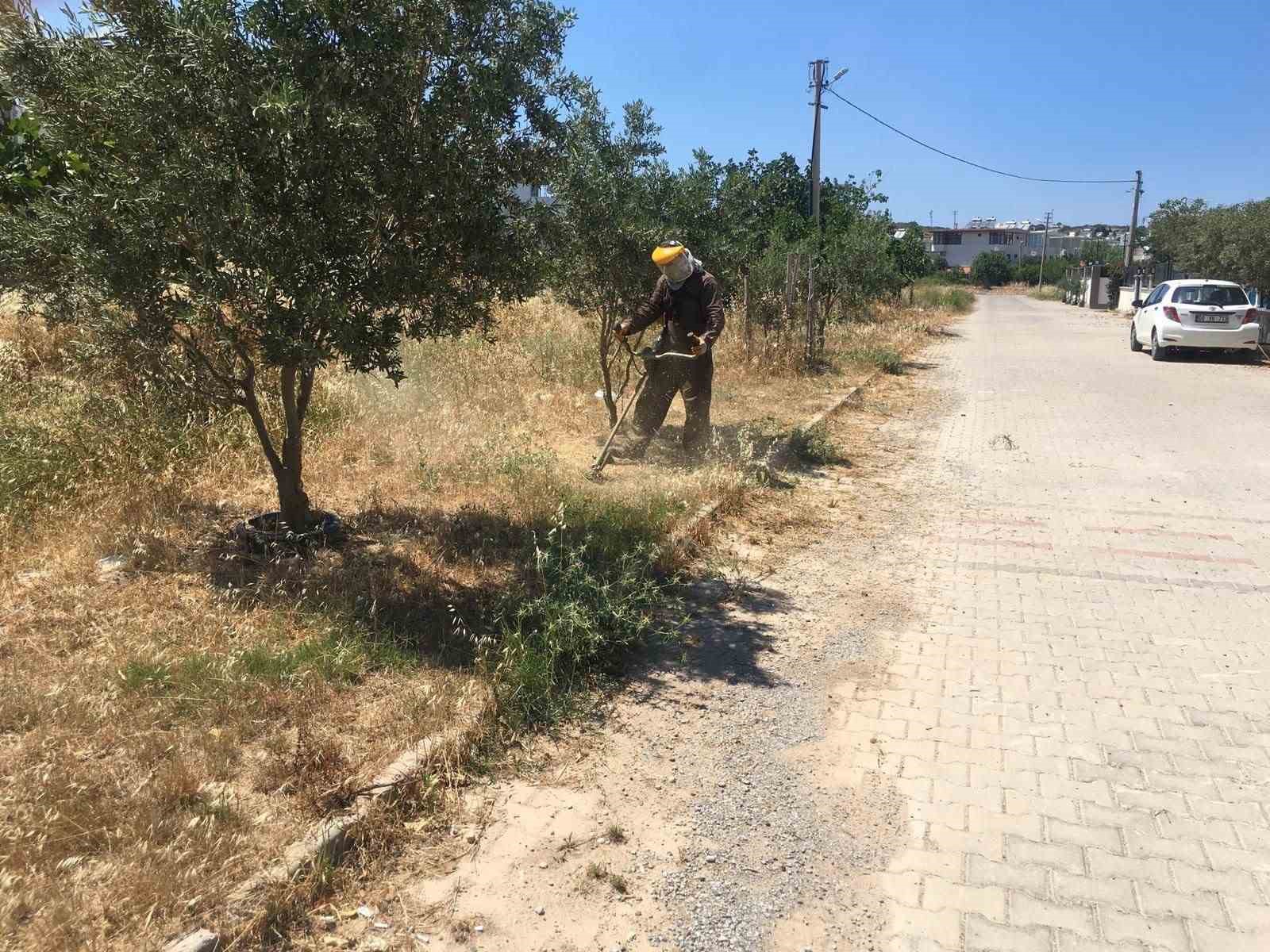 Didim Belediyesi yeşil alanlarda bakım çalışmalarını sürdürüyor