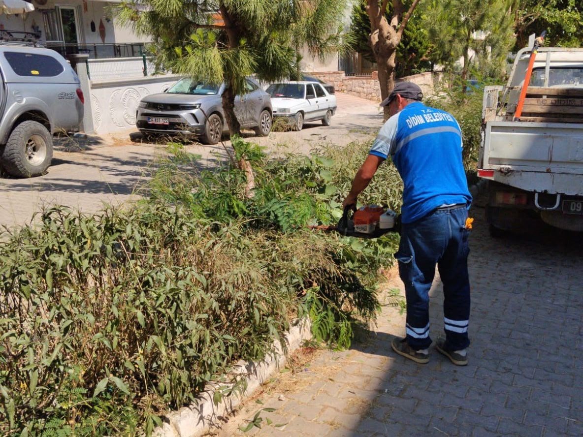 Didim Belediyesi yeşil alanlarda bakım çalışmalarını sürdürüyor