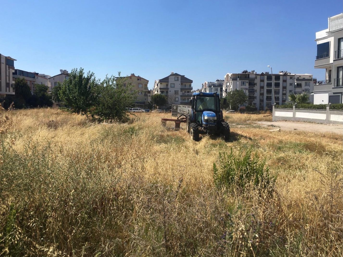 Didim Belediyesi yeşil alanlarda bakım çalışmalarını sürdürüyor