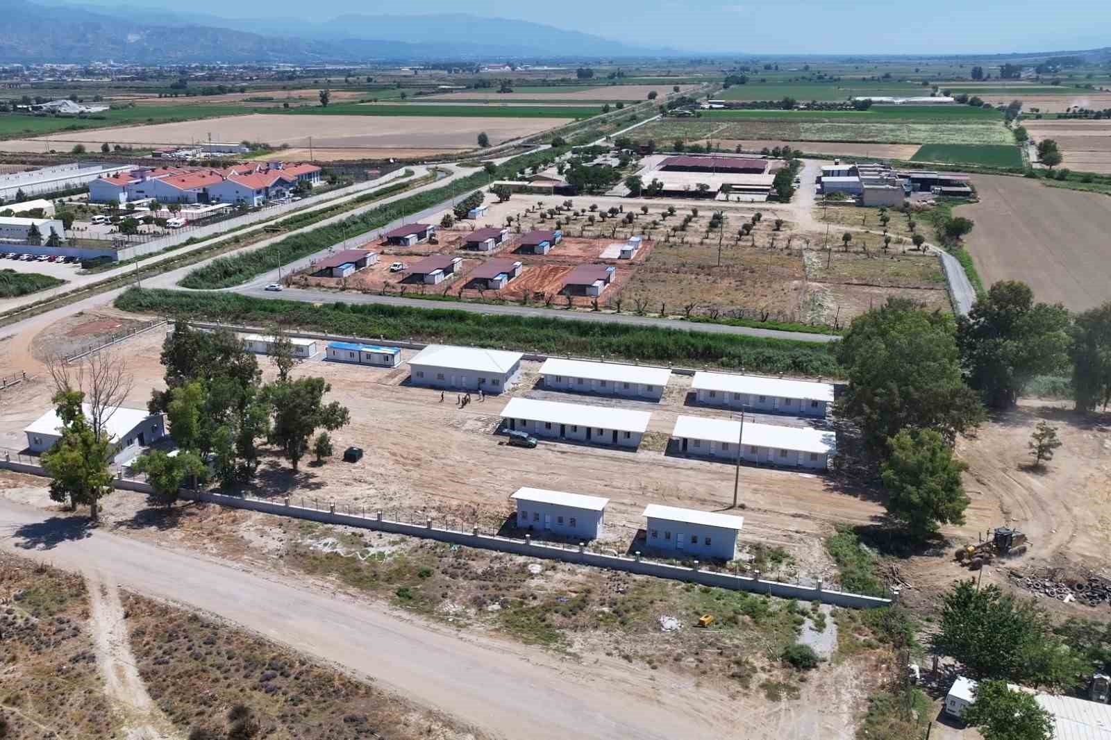 Efeler Belediyesi’nden sokak hayvanları için yeni yaşam alanı