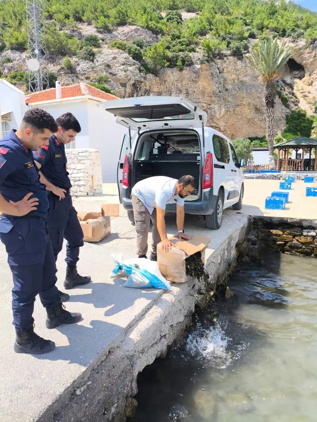 Aydın’da 60 kilo canlı yengeç ele geçirildi
