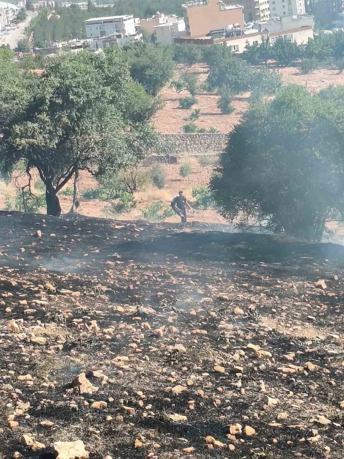Mardin’de farklı noktalarda çıkan yangınlara müdahale sürüyor