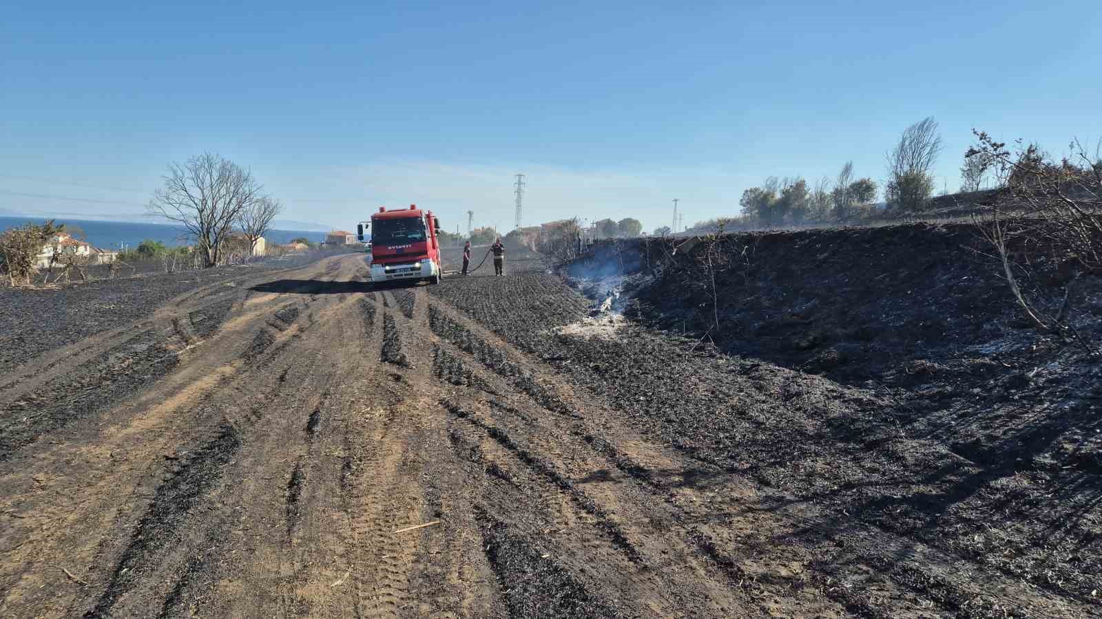 Tekirdağ’da buğday tarlalarına sıçrayan yangında 300 dönüm alan kül oldu